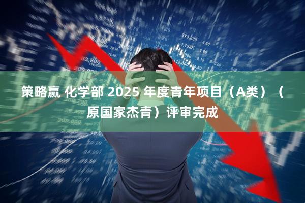 策略赢 化学部 2025 年度青年项目（A类）（原国家杰青）评审完成