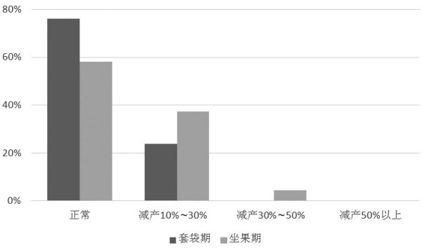 同花证券 西部苹果产区整体套袋情况较好