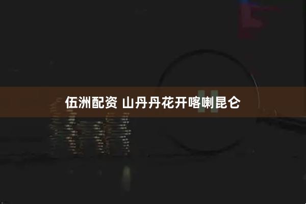 伍洲配资 山丹丹花开喀喇昆仑