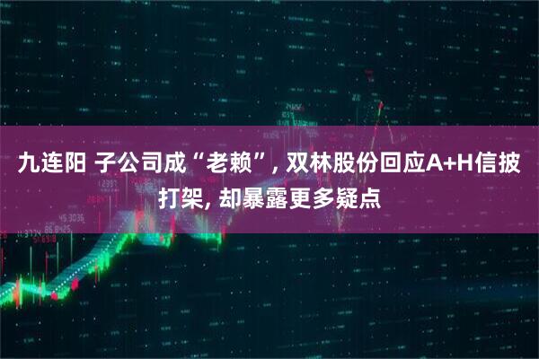 九连阳 子公司成“老赖”, 双林股份回应A+H信披打架, 却暴露更多疑点